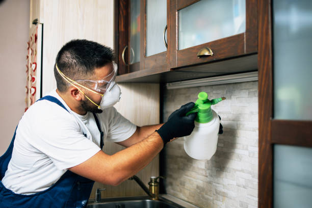 Best Exterminator Services  in Emigsville, PA