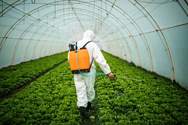 Best Pest Control Near Me in Emigsville, PA