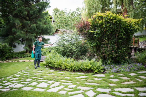 Best Best Pest Control Companies  in Emigsville, PA