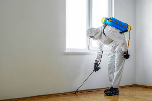 Insect Control in Emigsville, PA