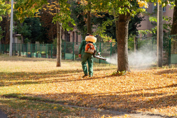 Best Pest Removal Services  in Emigsville, PA