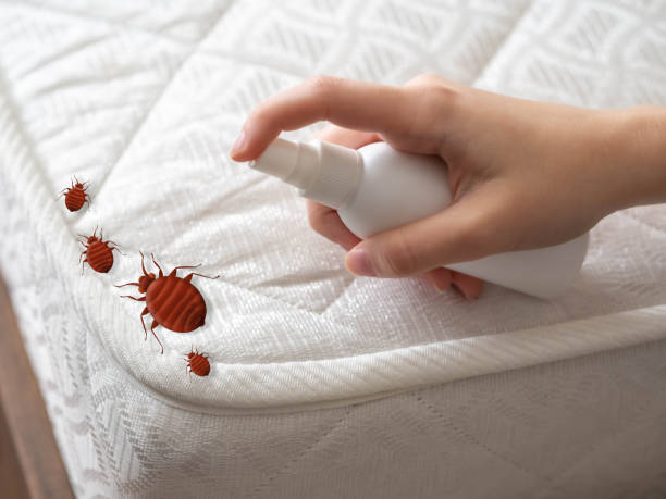 Best Residential Pest Control  in Emigsville, PA