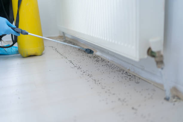 Best Affordable Pest Control Services  in Emigsville, PA