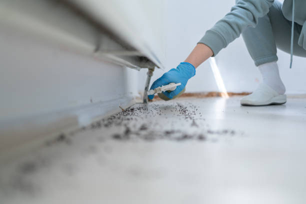 Best Mosquito Control Services  in Emigsville, PA