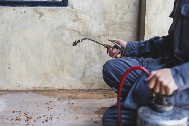 Best Affordable Pest Control Services  in Emigsville, PA